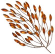  Copper Branch 