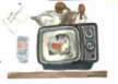Ducks on T.V.