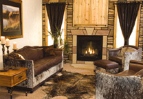 Leather Living Room Furniture