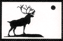 Caribou