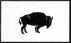 Bison