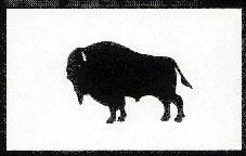 Bison