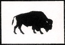 Buffalo