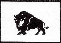 Bison