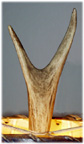 deer antler finials