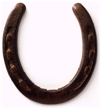 horse shoes