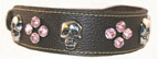 big dog collar